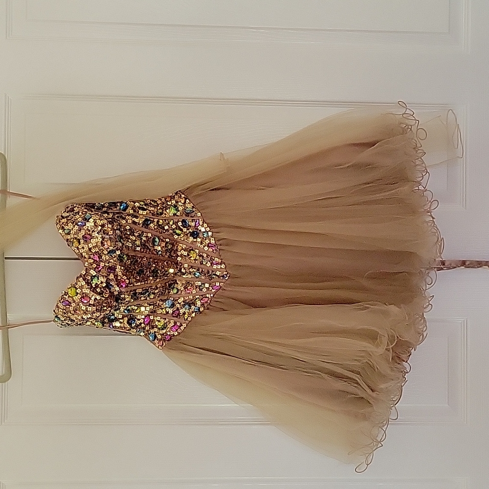 Stunning  Strapless Party/pagent dress